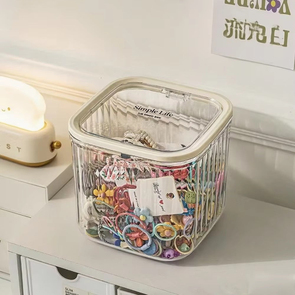 Transparent Hair Accessories Storage Box with Flip-Top Lid